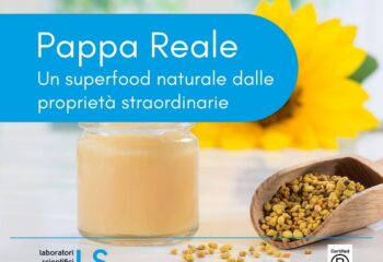 pappa-reale