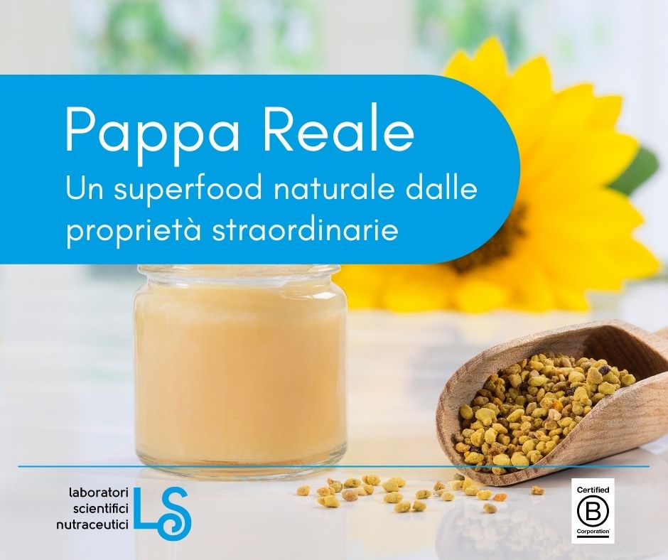 pappa-reale