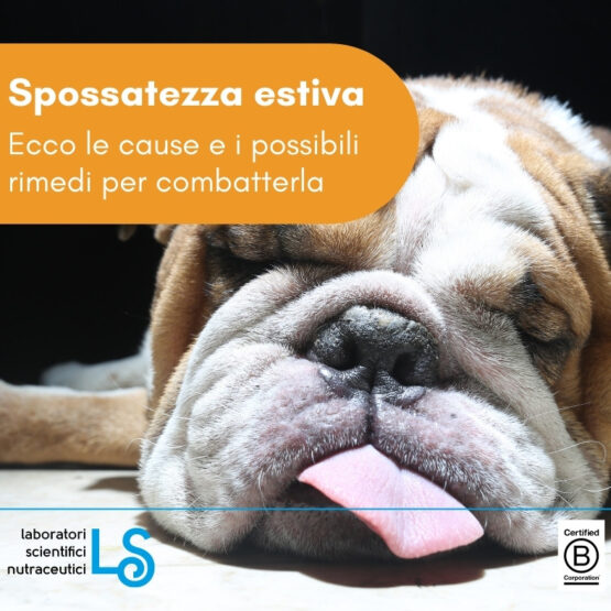 spossatezza estiva
